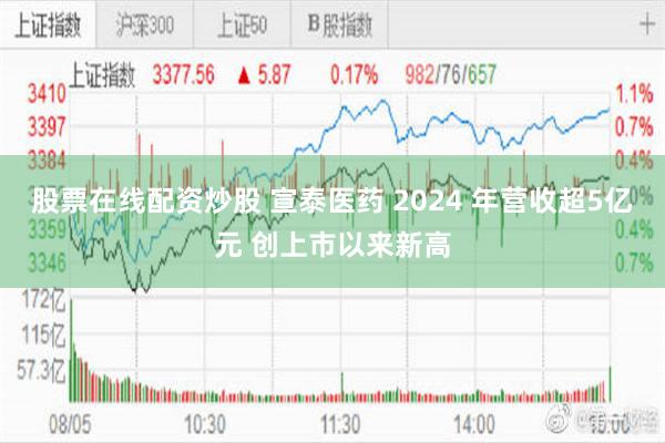 股票在线配资炒股 宣泰医药 2024 年营收超5亿元 创上市以来新高