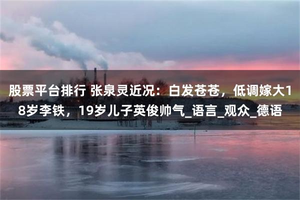 股票平台排行 张泉灵近况：白发苍苍，低调嫁大18岁李铁，19岁儿子英俊帅气_语言_观众_德语