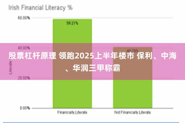 股票杠杆原理 领跑2025上半年楼市 保利、中海、华润三甲称霸