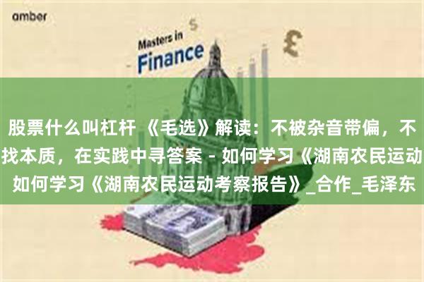 股票什么叫杠杆 《毛选》解读：不被杂音带偏，不被表象迷惑，在调查中找本质，在实践中寻答案 - 如何学习《湖南农民运动考察报告》_合作_毛泽东