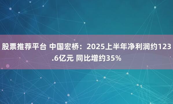 股票推荐平台 中国宏桥：2025上半年净利润约123.6亿元 同比增约35%
