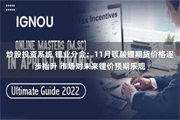 炒股投资系统 锂业分会：11月碳酸锂期货价格逐步抬升 市场对未来锂价预期乐观